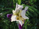 DSC09119