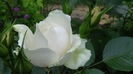 DSC03288