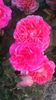 P_20160522_212041_LL