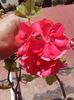 20160523_103040