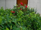 DSCN9159