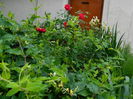 DSCN9160