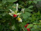 DSCN9162