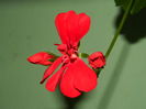 DSCN9177