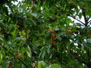 DSCN9184