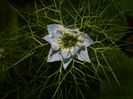 DSCN9187