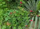 DSCN9195