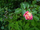 DSCN9196
