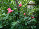 DSCN9198