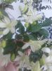 20160517_164945