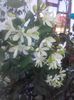 20160517_164927