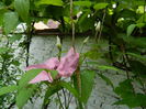 DSCN8561
