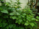 DSCN8912