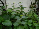 DSCN8913