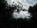 DSCN9051