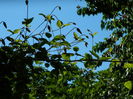 DSCN9570