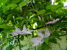 DSCN9662