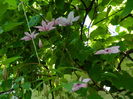 DSCN9663