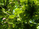 DSCN9668