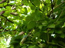 DSCN9670