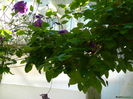 DSCN9751