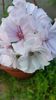 20160522_191057