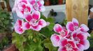 20160522_191015
