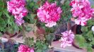 20160522_191002