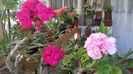 20160522_190945