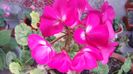 20160522_190759