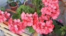 20160522_190714