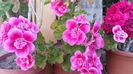 20160522_190641