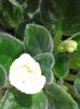 20160512_114244