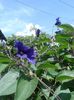 20160522_124123