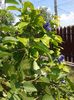 20160522_124135