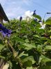 20160522_124139