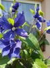 20160522_124147