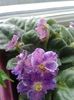 20160523_073512