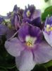 20160523_073609