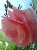 20160523_125204