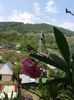 20160523_125215