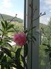 20160523_125218