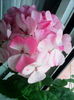 Single new life