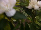P1280036