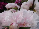 P1280040