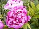 P1280046