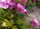 P1280052