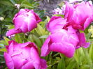 P1280064