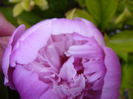 P1280067