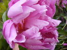 P1280077